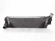 Ladeluftkühler RENAULT MEGANE II (BM0/1_, CM0/1_) 1.9 dCi (BM0G, CM0G) 8200700172