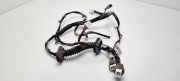 Kabel Tür vorne rechts NISSAN ALMERA II Hatchback (N16) 1.5 dCi 24125BN905