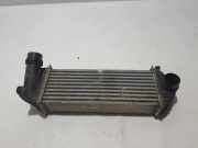 Ladeluftkühler RENAULT KANGOO / GRAND KANGOO (KW0/1_) 1.5 dCi 144963234R