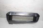 Gitter vorne unten BMW X2 (F39) X2 xDrive20d 8069487