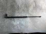 Heckklappe Gasdruckfeder links TOYOTA COROLLA Verso (_E12_) 2.0 D-4D (CDE120_) 6453pl0545n