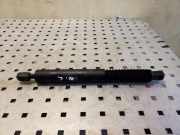 Heckklappe Gasdruckfeder links BMW 5 (F10) 525 d 7210557