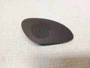 Türlautsprecher vorne links