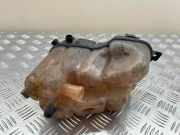 Ausgleichsbehälter FORD GALAXY III (CK) 2.0 TDCi 6G918K218