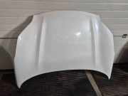 Motorhaube KIA SPORTAGE V (NQ5) 1.6 T-GDI AWD