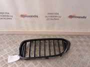 Gitter Grill vorne links BMW 5 Touring (G31) 520 d 7383519