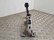 Kupplungspedal Renault Grand Scenic IV (R9) 465033751R