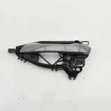 Türaußengriff vorne links AUDI A6 C8 Avant (4A5) RS6 Mild Hybrid quattro 4N0837811B