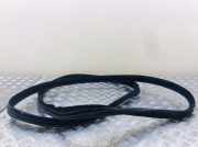 Türdichtung Mercedes-Benz R-Klasse (W251)