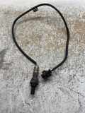 Sauerstoffsensor (Lambdasensor) FIAT ULYSSE (220_) 1.9 TD 09202575