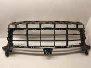 Gitter PORSCHE CAYENNE (9Y0/9Y3) Cayenne S 9Y0807683AA 9y0807683T