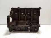 Motorblock FIAT 500L (351_, 352_) 1.3 D Multijet 199B4000