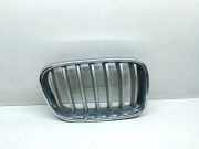 Vorderer oberer Gitter