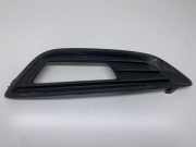 Kühlergrill unten Ford Focus IV (HN) F1EB15A299A