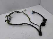 Kabel Tür Toyota Prius Stufenheck (HW1) 8215147250B