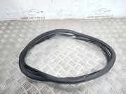 Türdichtung Audi A4 (8E, B7)