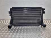 Ladeluftkühler VW PASSAT B7 ALLTRACK (365) 2.0 TDI 1K0145805G