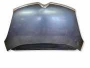 Motorhaube CITROËN C4 Picasso I (UD_) 1.6 HDi