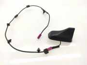 Antenne SUBARU TRIBECA (B9) 3.6