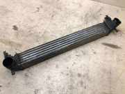 Kühlerluftumlenker SKODA ROOMSTER (5J) 1.4 TDI 6R0145805