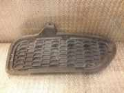 Gitter vorne unten BMW Z4 Roadster (E89) sDrive 20 i 8038093