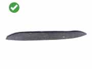 Türverkleidung links vorne Mercedes-Benz R-Klasse (W251) JC360870