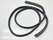 Türdichtung Renault Kangoo II Rapid (FW0)