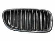 Vorderer oberer Gitter BMW 5 Touring (F11) 530 d 7200728