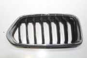 Gitter Grill vorne rechts BMW X2 (F39) X2 xDrive20d 7424778