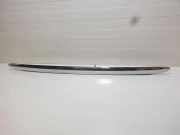 Kennzeichenbeleuchtung Verkleidung