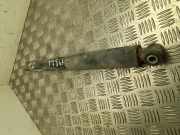 Stoßdämpfer rechts hinten VW Crafter Fahrgestell (SZ) 2N0513031G