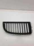 Vorderer oberer Gitter BMW 3 (E90) 330 d xDrive 22405910