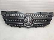 Vorderer oberer Gitter