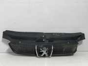 Gitter PEUGEOT 406 (8B) 2.0 16V 9631250277