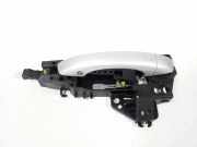 Türaußengriff links AUDI A8 D4 (4H_) 4.2 TDI quattro