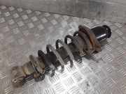 Stoßdämpfer hinten links TOYOTA AVENSIS Estate (_T25_) 2.2 D-CAT (ADT251_)