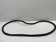 Türdichtungsgummi vorne links MERCEDES-BENZ CLA Coupe (C118) CLA 180 (118.384) A1186920600