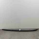 Dachreling links BMW X3 (G01, F97) 8070691