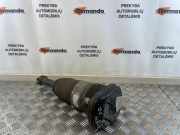 Stoßdämpfer rechts hinten BMW 5er Touring (G31) 814903014874