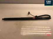 Türgriff hinten Tesla Model S (5YJS) 600661000C