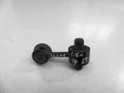 Stabilisator rechts hinten Hyundai Ioniq (AE)