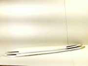 Dachreling links VW Tiguan I (5N) 5N0860198C