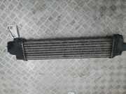 Ladeluftkühler FORD C-MAX (DM2) 1.6 TDCi