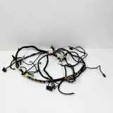 Kabelbaum BMW X2 (F39) X2 xDrive28i 5A18167