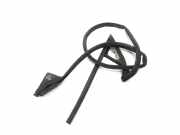 Vordere linke Türdichtungsgummi JAGUAR XK Coupe (X150) 5.0 V8 C2P19091