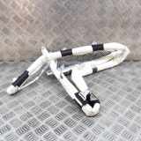 Dach SRS rechts FIAT 500X (334_) 2.0 D Multijet 4x4 B1628194400