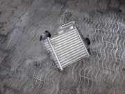 Ladeluftkühler HYUNDAI TRAJET (FO) 2.0 CRDi 2827027110