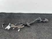 Kabel Tür vorne rechts RENAULT GRAND SCÉNIC IV (R9_) 1.5 dCi 110 241257775R
