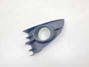 Blende Nebelscheinwerfer Renault Grand Scenic II (JM) 1013579