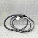 Türgummi links vorne VW Passat B8 (3G) 3G0867911K